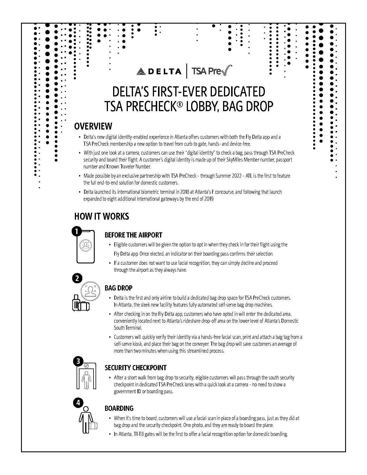 delta domestic bag policy